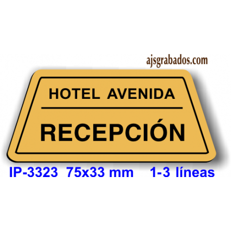 Placa de identificación