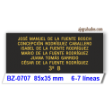 Placa buzón letra dorada