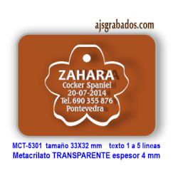 Placa mascotas Metacrilato GRUESO 4 mm para grabar hasta 5 líneas